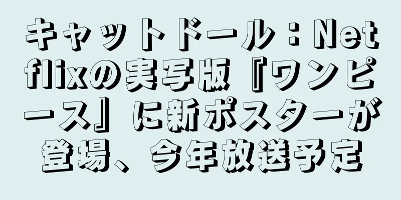 キャットドール：Netflixの実写版『ワンピース』に新ポスターが登場、今年放送予定
