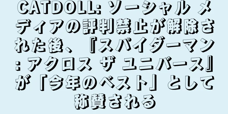 CATDOLL: ソーシャル メディアの評判禁止が解除された後、『スパイダーマン: アクロス ザ ユニバース』が「今年のベスト」として称賛される