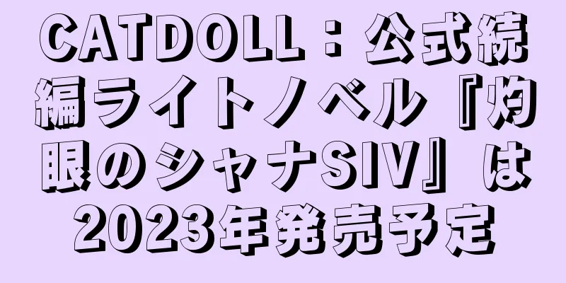 CATDOLL：公式続編ライトノベル『灼眼のシャナSIV』は2023年発売予定