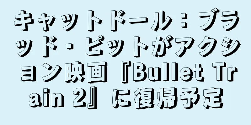 キャットドール：ブラッド・ピットがアクション映画『Bullet Train 2』に復帰予定
