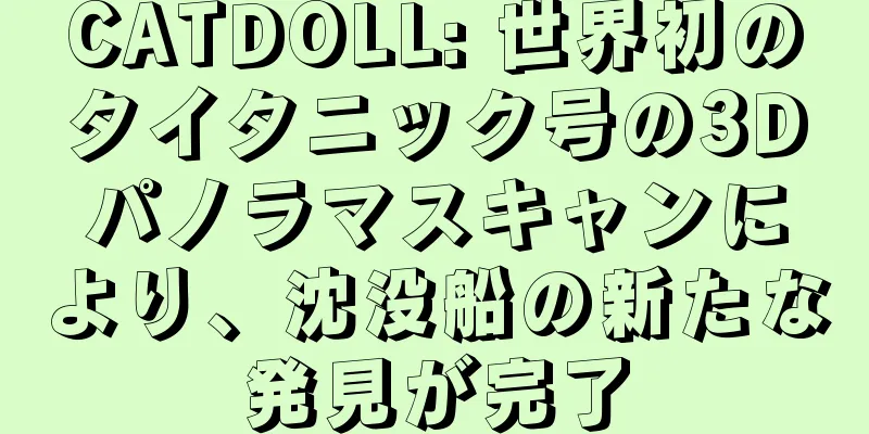 CATDOLL: 世界初のタイタニック号の3Dパノラマスキャンにより、沈没船の新たな発見が完了