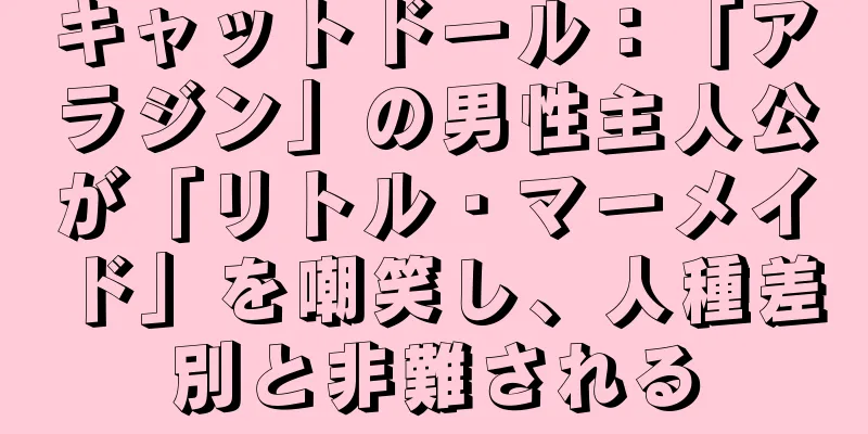 キャットドール：「アラジン」の男性主人公が「リトル・マーメイド」を嘲笑し、人種差別と非難される