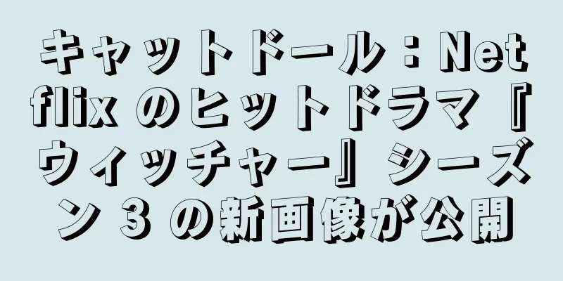 キャットドール：Netflix のヒットドラマ『ウィッチャー』シーズン 3 の新画像が公開