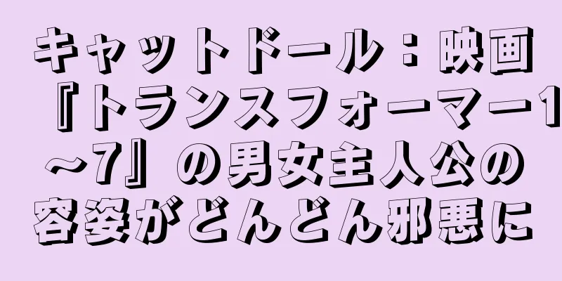 キャットドール：映画『トランスフォーマー1～7』の男女主人公の容姿がどんどん邪悪に