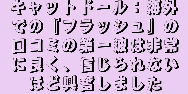 キャットドール：海外での『フラッシュ』の口コミの第一波は非常に良く、信じられないほど興奮しました