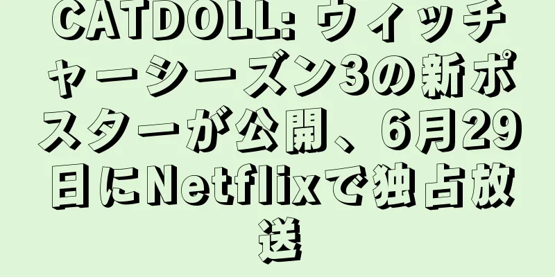 CATDOLL: ウィッチャーシーズン3の新ポスターが公開、6月29日にNetflixで独占放送