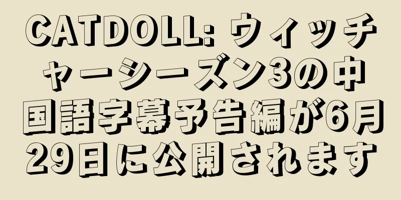 CATDOLL: ウィッチャーシーズン3の中国語字幕予告編が6月29日に公開されます