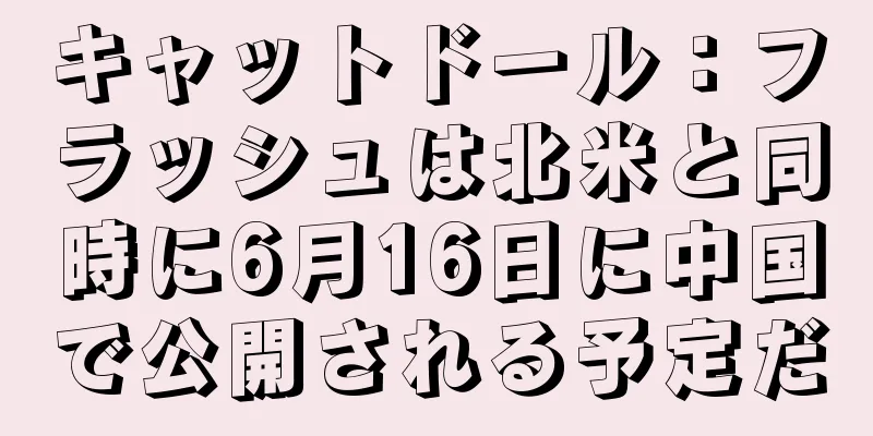 キャットドール：フラッシュは北米と同時に6月16日に中国で公開される予定だ