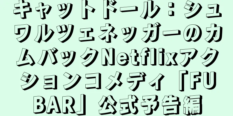キャットドール：シュワルツェネッガーのカムバックNetflixアクションコメディ「FUBAR」公式予告編