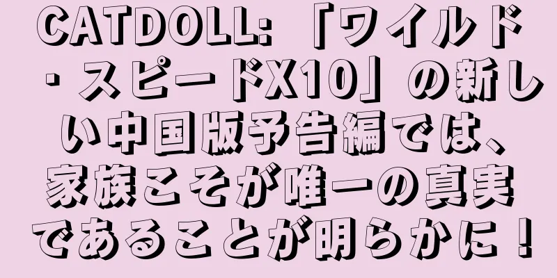 CATDOLL: 「ワイルド・スピードX10」の新しい中国版予告編では、家族こそが唯一の真実であることが明らかに！