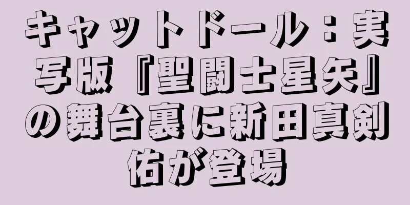 キャットドール：実写版『聖闘士星矢』の舞台裏に新田真剣佑が登場