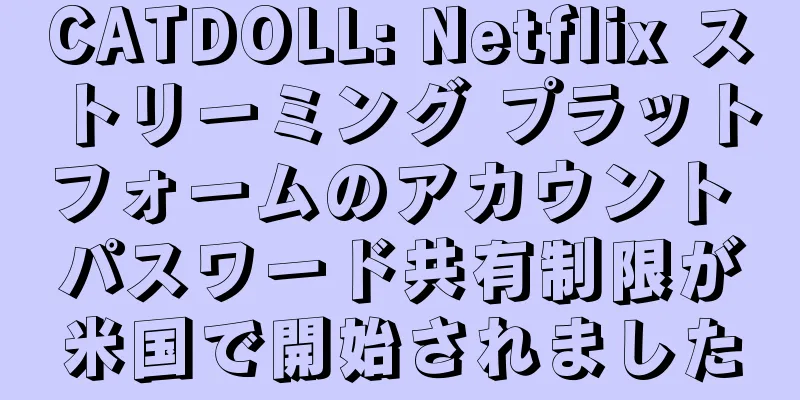 CATDOLL: Netflix ストリーミング プラットフォームのアカウント パスワード共有制限が米国で開始されました