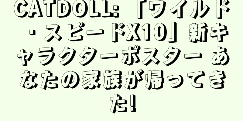CATDOLL: 「ワイルド・スピードX10」新キャラクターポスター あなたの家族が帰ってきた!