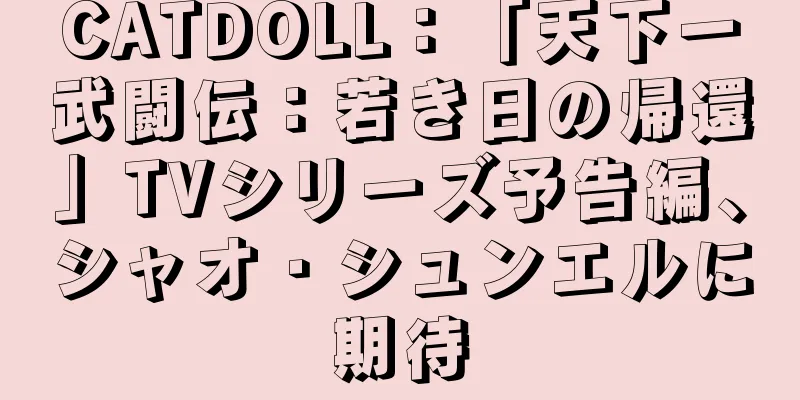 CATDOLL：「天下一武闘伝：若き日の帰還」TVシリーズ予告編、シャオ・シュンエルに期待