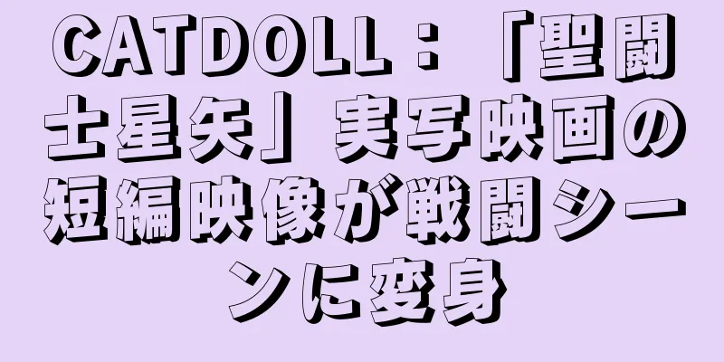 CATDOLL：「聖闘士星矢」実写映画の短編映像が戦闘シーンに変身