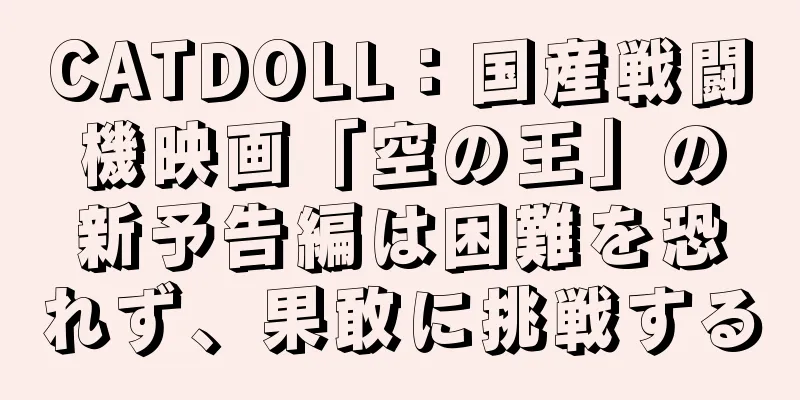 CATDOLL：国産戦闘機映画「空の王」の新予告編は困難を恐れず、果敢に挑戦する