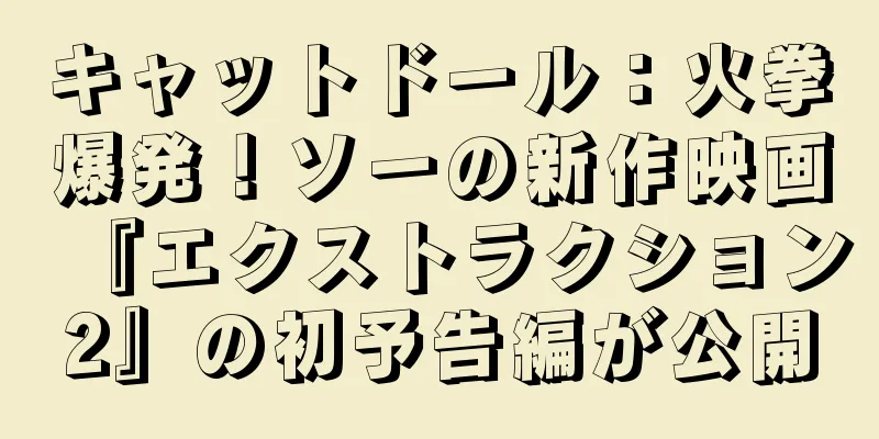 キャットドール：火拳爆発！ソーの新作映画『エクストラクション2』の初予告編が公開
