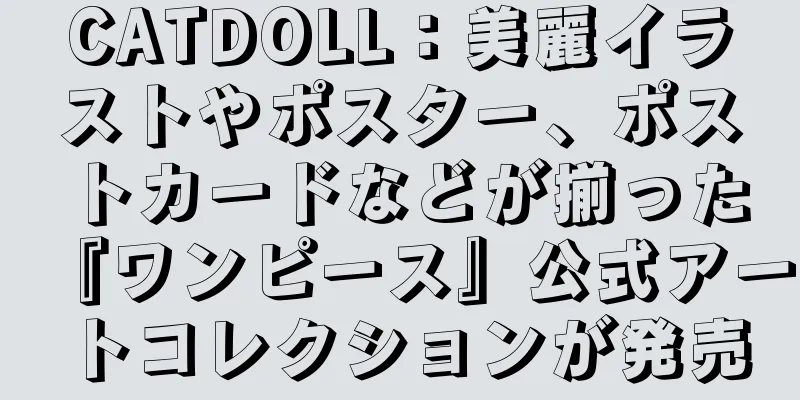 CATDOLL：美麗イラストやポスター、ポストカードなどが揃った『ワンピース』公式アートコレクションが発売