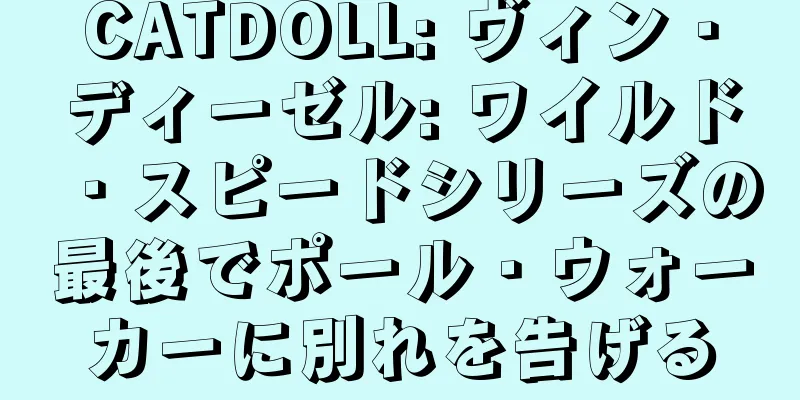 CATDOLL: ヴィン・ディーゼル: ワイルド・スピードシリーズの最後でポール・ウォーカーに別れを告げる