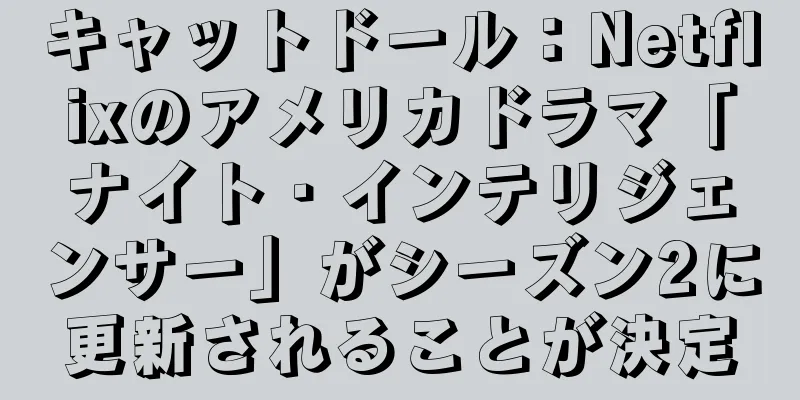 キャットドール：Netflixのアメリカドラマ「ナイト・インテリジェンサー」がシーズン2に更新されることが決定