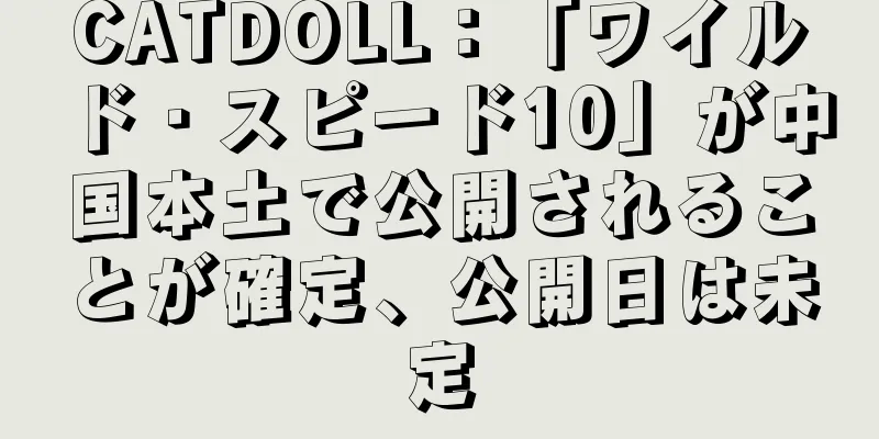 CATDOLL：「ワイルド・スピード10」が中国本土で公開されることが確定、公開日は未定