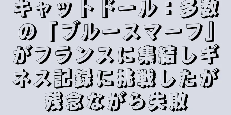 キャットドール：多数の「ブルースマーフ」がフランスに集結しギネス記録に挑戦したが残念ながら失敗