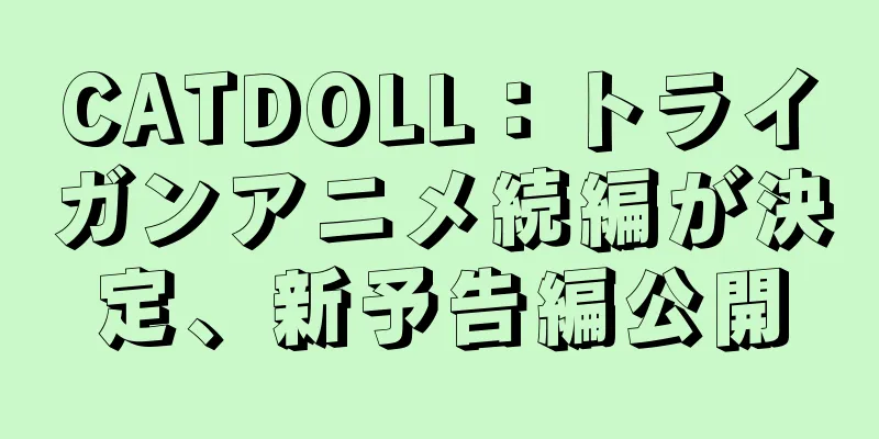 CATDOLL：トライガンアニメ続編が決定、新予告編公開