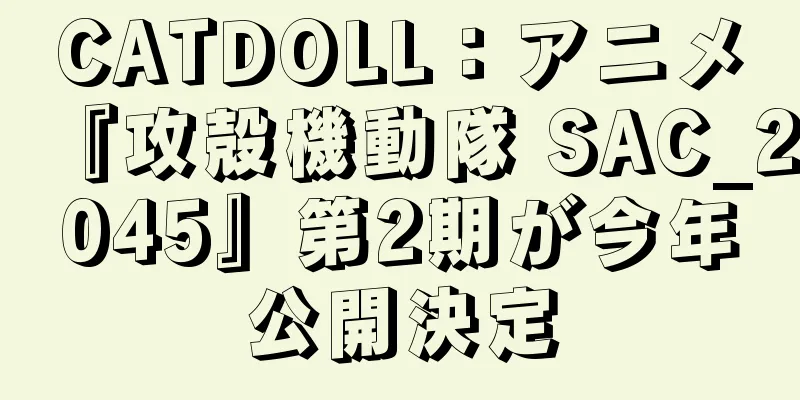 CATDOLL：アニメ『攻殻機動隊 SAC_2045』第2期が今年公開決定