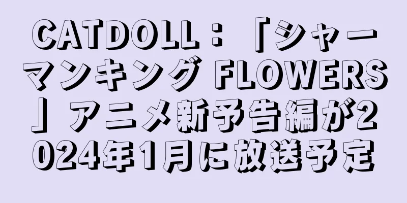 CATDOLL：「シャーマンキング FLOWERS」アニメ新予告編が2024年1月に放送予定