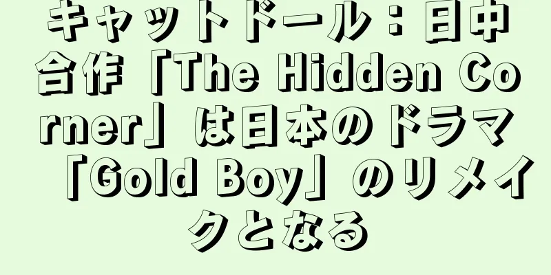 キャットドール：日中合作「The Hidden Corner」は日本のドラマ「Gold Boy」のリメイクとなる