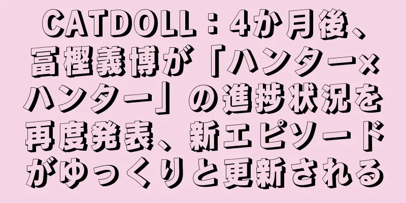 CATDOLL：4か月後、冨樫義博が「ハンター×ハンター」の進捗状況を再度発表、新エピソードがゆっくりと更新される