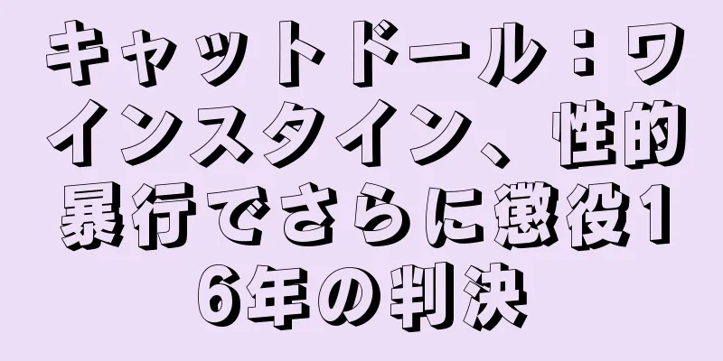 キャットドール：ワインスタイン、性的暴行でさらに懲役16年の判決