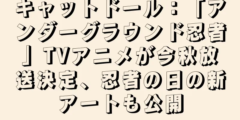 キャットドール：「アンダーグラウンド忍者」TVアニメが今秋放送決定、忍者の日の新アートも公開