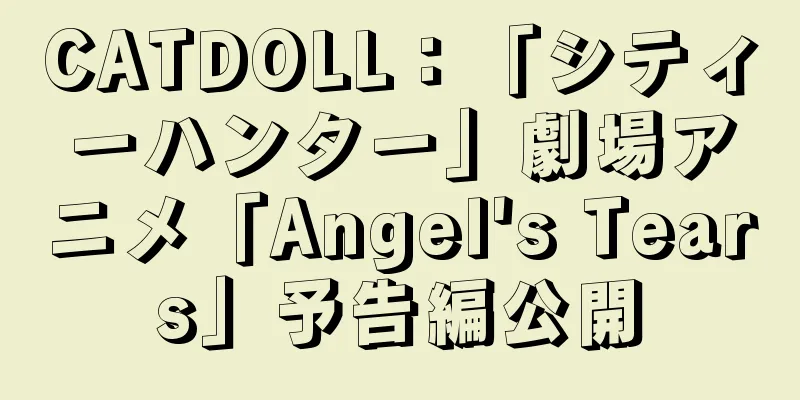 CATDOLL：「シティーハンター」劇場アニメ「Angel's Tears」予告編公開
