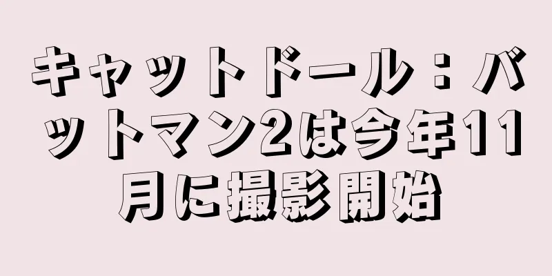 キャットドール：バットマン2は今年11月に撮影開始
