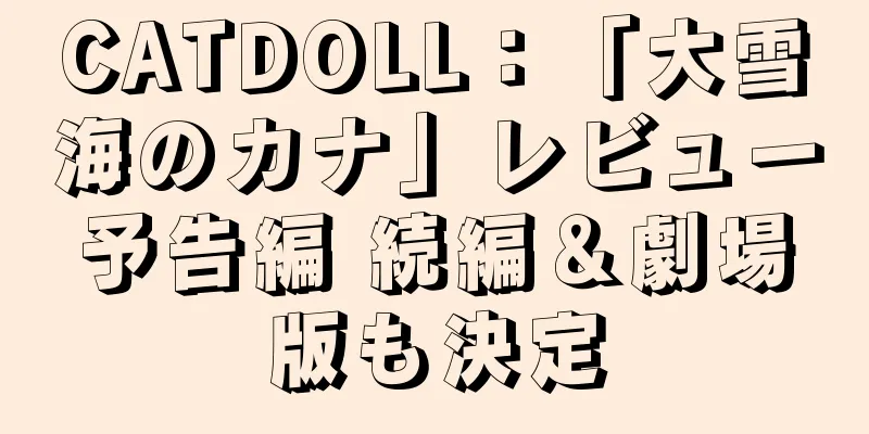 CATDOLL：「大雪海のカナ」レビュー予告編 続編＆劇場版も決定