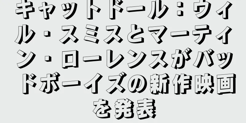 キャットドール：ウィル・スミスとマーティン・ローレンスがバッドボーイズの新作映画を発表