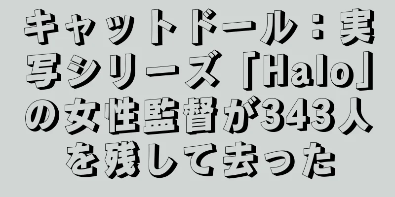 キャットドール：実写シリーズ「Halo」の女性監督が343人を残して去った