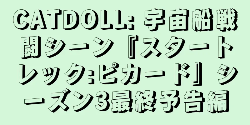 CATDOLL: 宇宙船戦闘シーン『スタートレック:ピカード』シーズン3最終予告編