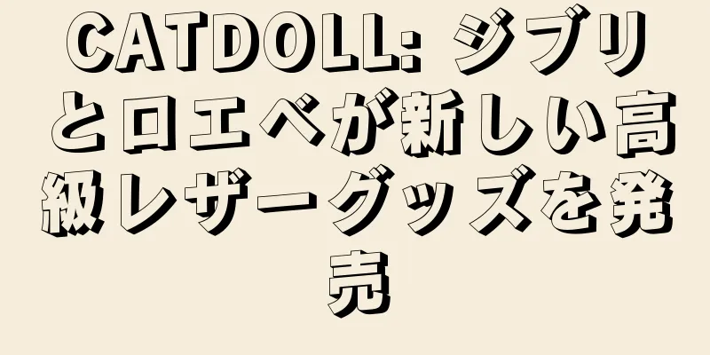 CATDOLL: ジブリとロエベが新しい高級レザーグッズを発売