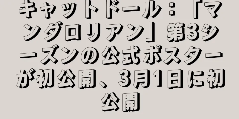 キャットドール：「マンダロリアン」第3シーズンの公式ポスターが初公開、3月1日に初公開