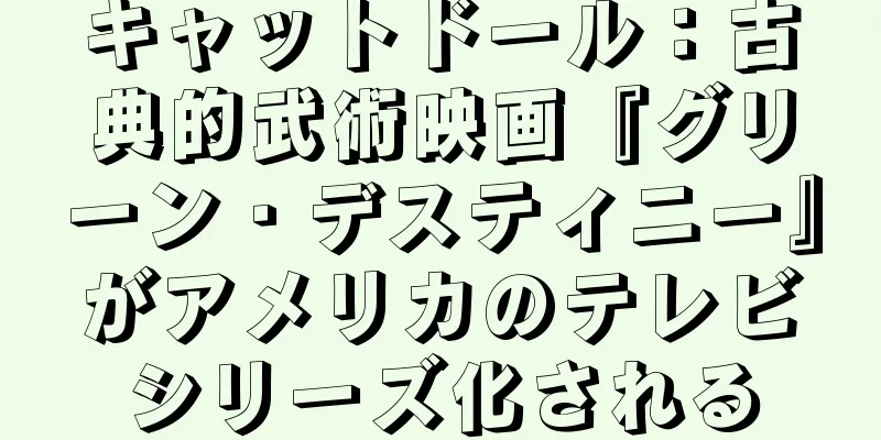 キャットドール：古典的武術映画『グリーン・デスティニー』がアメリカのテレビシリーズ化される
