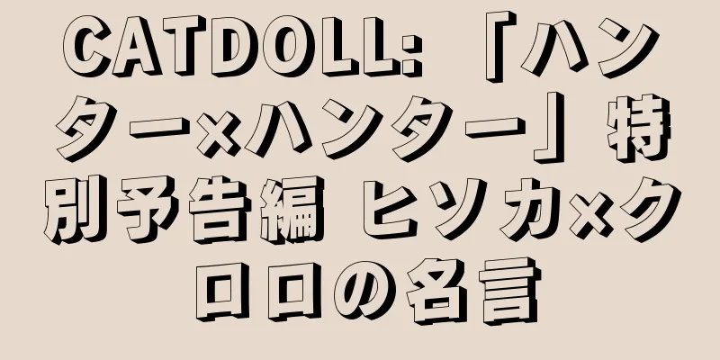CATDOLL: 「ハンター×ハンター」特別予告編 ヒソカ×クロロの名言