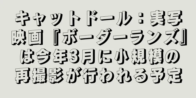 キャットドール：実写映画『ボーダーランズ』は今年3月に小規模の再撮影が行われる予定