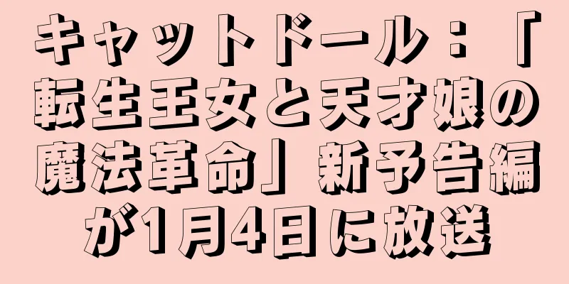 キャットドール：「転生王女と天才娘の魔法革命」新予告編が1月4日に放送