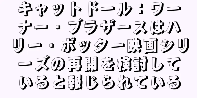 キャットドール：ワーナー・ブラザースはハリー・ポッター映画シリーズの再開を検討していると報じられている
