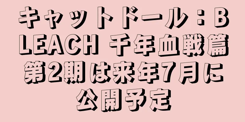 キャットドール：BLEACH 千年血戦篇第2期は来年7月に公開予定