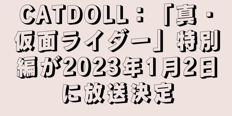 CATDOLL：「真・仮面ライダー」特別編が2023年1月2日に放送決定