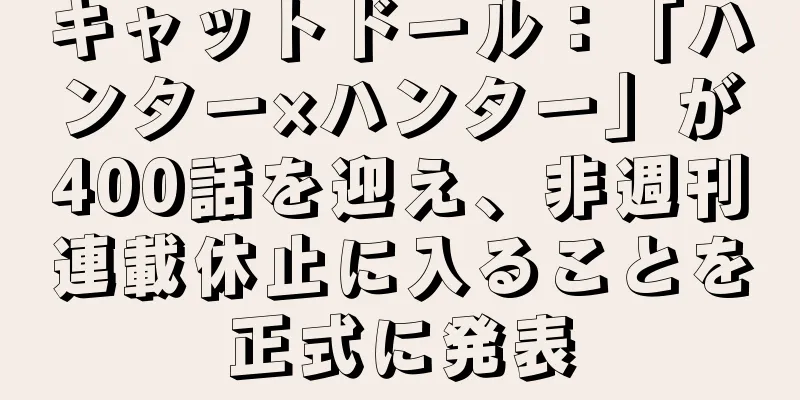 キャットドール：「ハンター×ハンター」が400話を迎え、非週刊連載休止に入ることを正式に発表