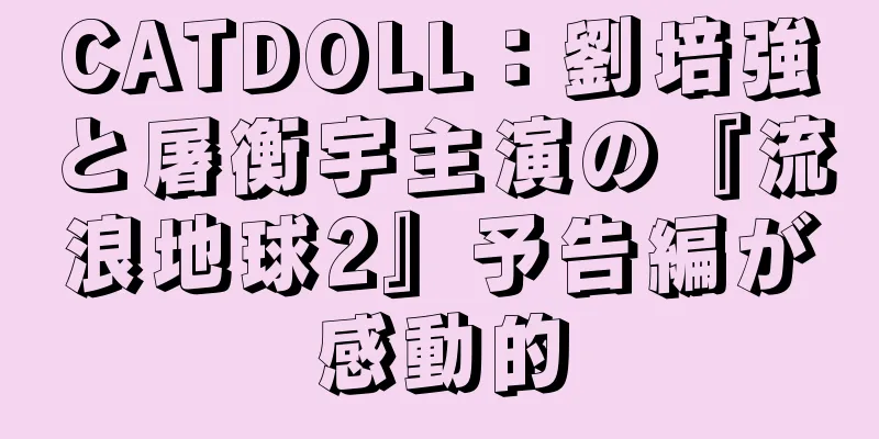 CATDOLL：劉培強と屠衡宇主演の『流浪地球2』予告編が感動的